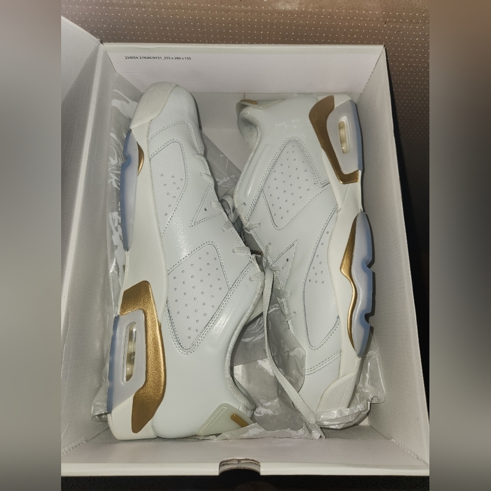 Air Jordan 6 Retro Low GC